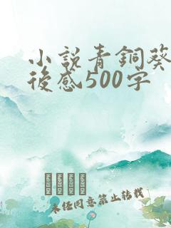 小说青铜葵花读后感500字