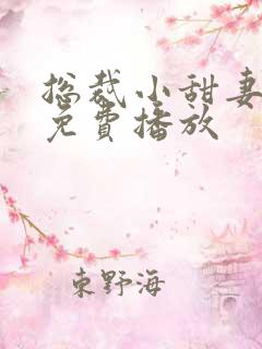 总裁小甜妻短剧免费播放
