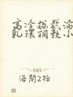 高冷总裁沦为奴乳环调教小说