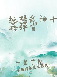 纯阳武神十步行无弹窗