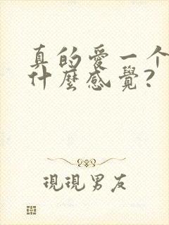 真的爱一个人是什么感觉?