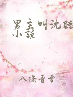 男主叫沈听澜的小说