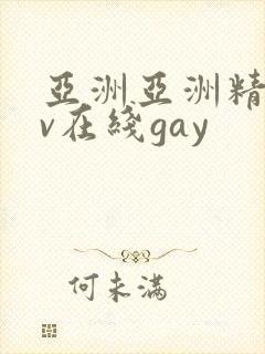 亚洲亚洲精品av在线gay