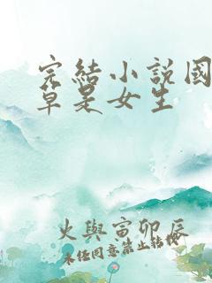 完结小说国民校草是女生