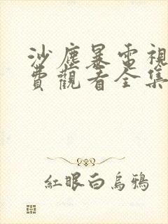 沙尘暴电视剧免费观看全集完整版