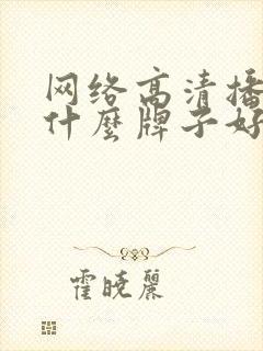 网络高清播放器什么牌子好