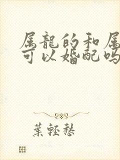 属龙的和属兔的可以婚配吗