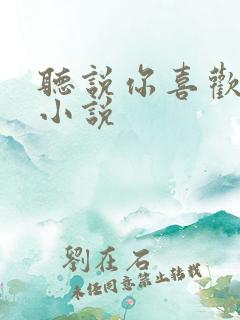 听说你喜欢我 小说