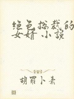 绝色总裁的上门女婿 小说