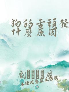 狗的舌头发紫是什么原因