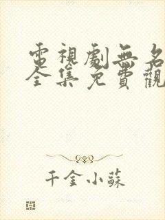 电视剧无名卫士全集免费观看