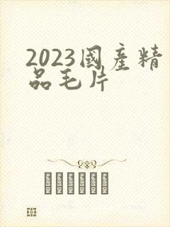 2023国产精品毛片