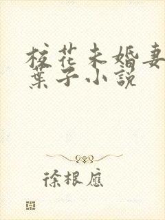 校花未婚妻女友叶子小说