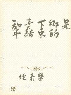 知青下乡是哪一年结束的