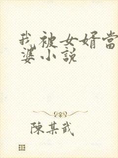 我被女婿当成老婆小说