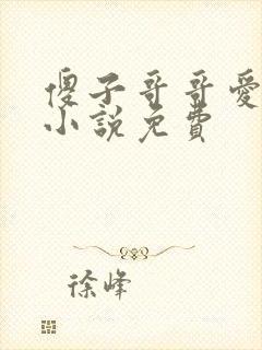 傻子哥哥爱爱我小说免费