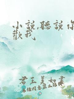 小说,听说你喜欢我
