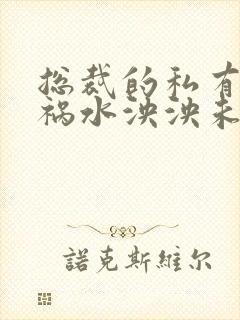 总裁的私有宝贝祸水泱泱未删减版