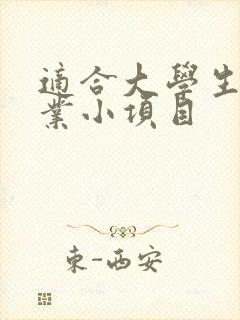 适合大学生的创业小项目