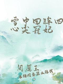 雪中回眸四爷的心尖宠妃