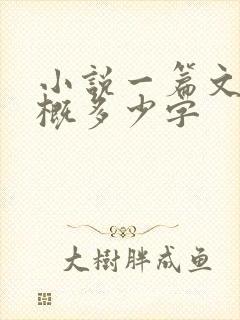 小说一篇文章大概多少字