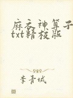 麻衣神算子小说txt精校版