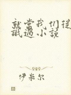 就当我们从没认识过小说