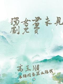 独女君未见电视剧免费