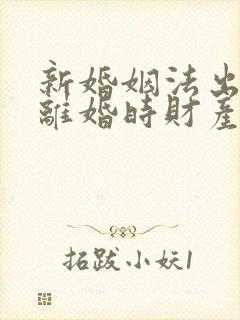 新婚姻法出轨方离婚时财产怎么判