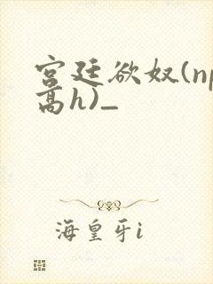 宫廷欲奴(np高h)_
