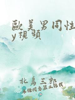 欧美男同性gay视频
