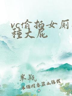 vc偷拍女厕各种大屁