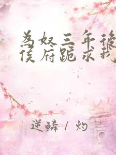 为奴三年后整个侯府跪求我原谅小说免费