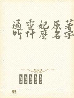 通灵妃原著小说叫什么名字