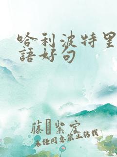 哈利波特里的英语好句