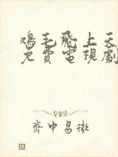 鸡毛飞上天全集免费电视剧
