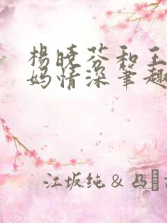 杨晓芬和王磊后妈情深笔趣阁