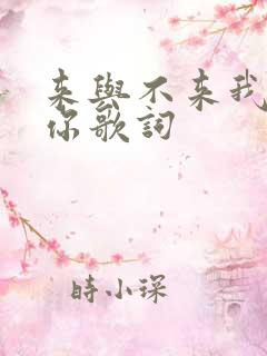 来与不来我都等你歌词