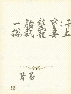 一胎双宝:千亿总裁宠妻上瘾
