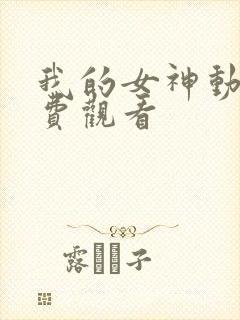 我的女神动漫免费观看