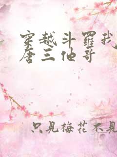穿越斗罗我成了唐三他哥