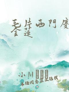 毛片西门庆和潘金莲
