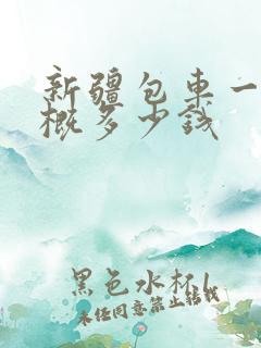 新疆包车一天大概多少钱