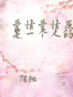 爱情爱情原本就是一个人的事情歌词