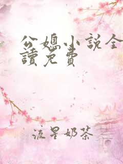 公媳小说全文阅读免费