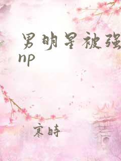 男明星被强h肉np