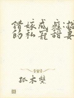 错嫁成瘾:总裁的私宠甜妻