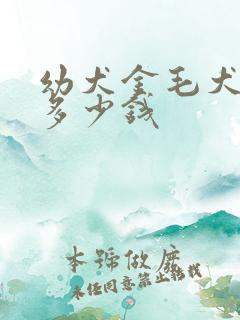 幼犬金毛犬价格多少钱