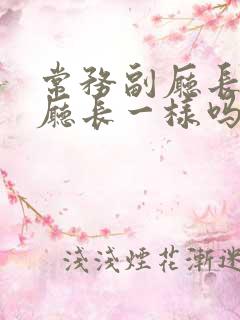 常务副厅长和副厅长一样吗