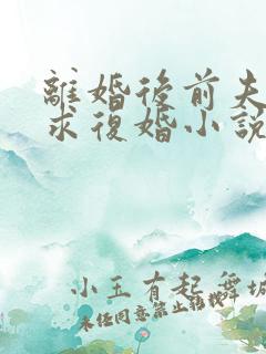 离婚后前夫哭着求复婚小说免费在线听书